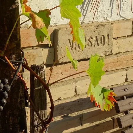 Grappa Goldhill Wineyard & *